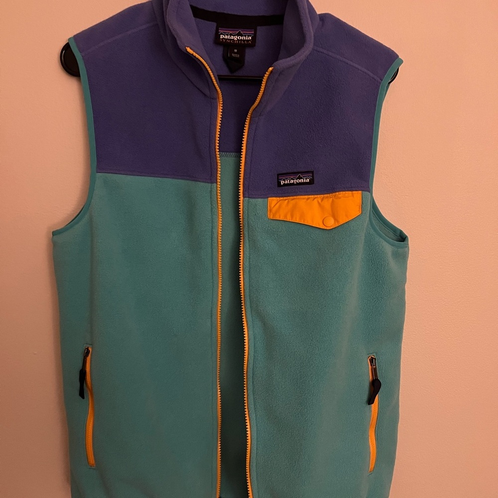 Patagonia Synchilla Men's Vest